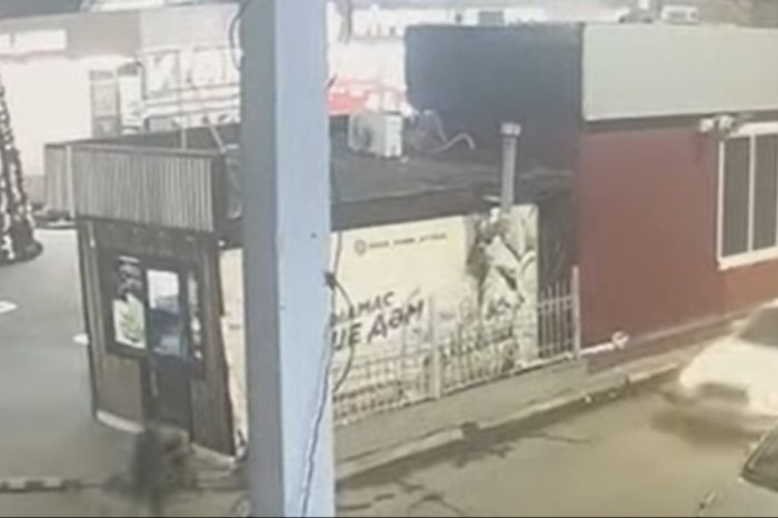 Секунды до удара: в Атырау спорят, можно ли было избежать ДТП с участием ребёнка