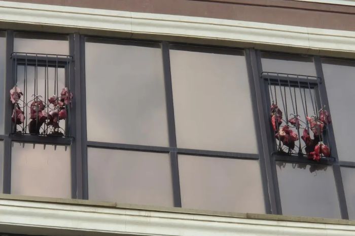 В Актау мясо развесили на окнах элитного дома