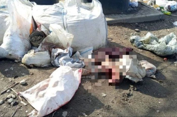 Обезображенные трупы собак в мешках: полиция Алматы начала расследование