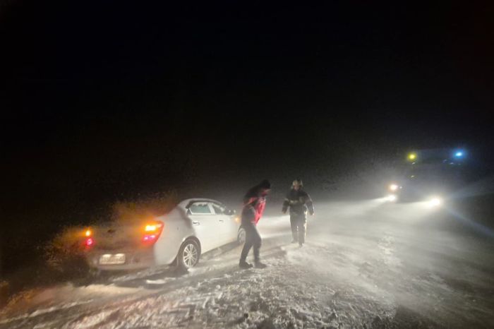 Чабан погиб в буран в Павлодарской области