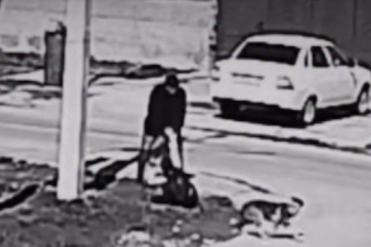 скриншот видео