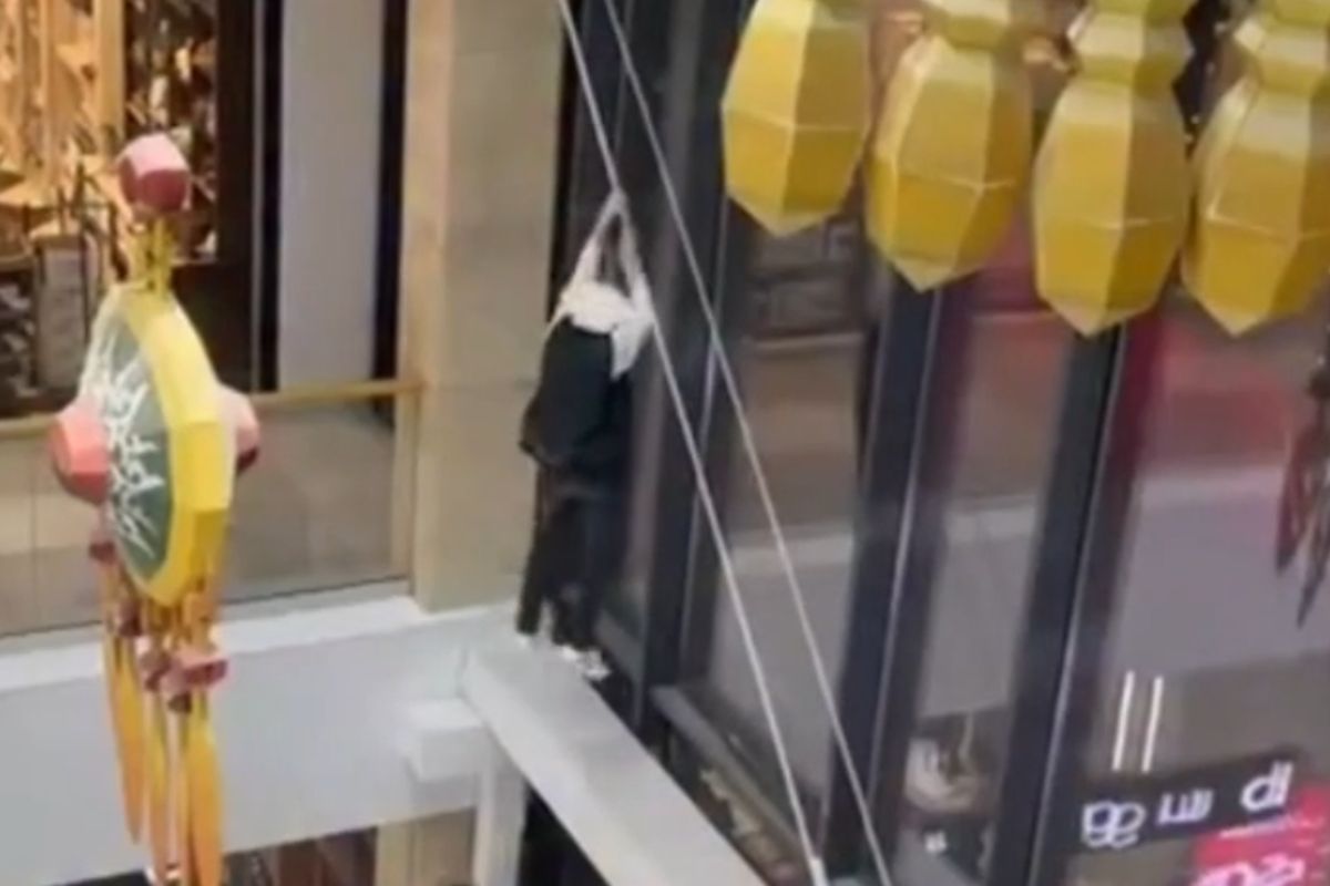 скриншот видео