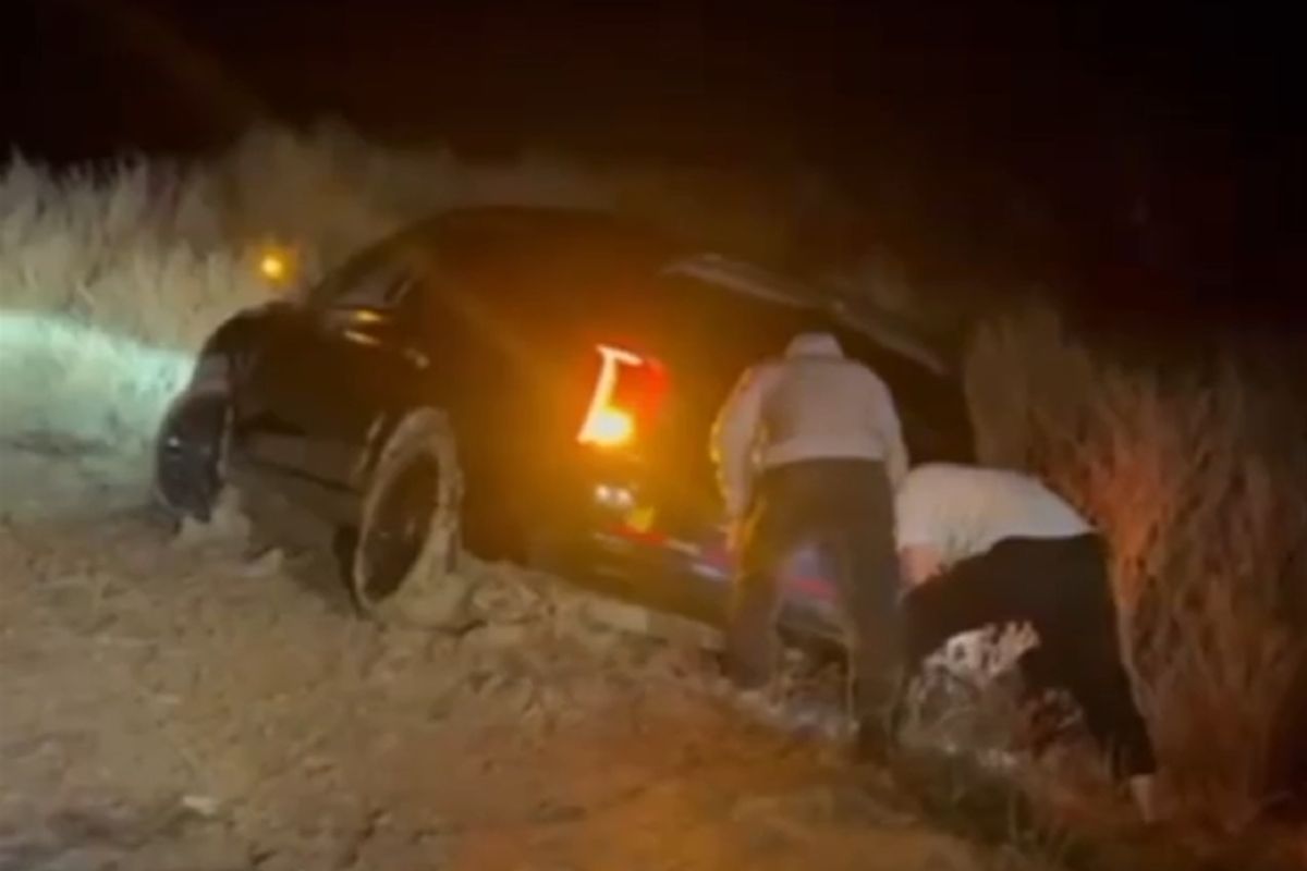 скриншот видео