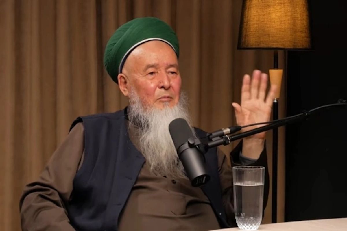 скриншот видео скриншот видео