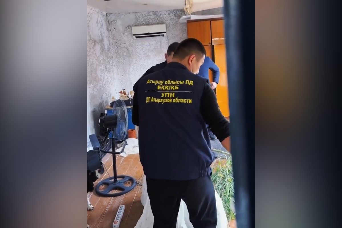 скриншот видео