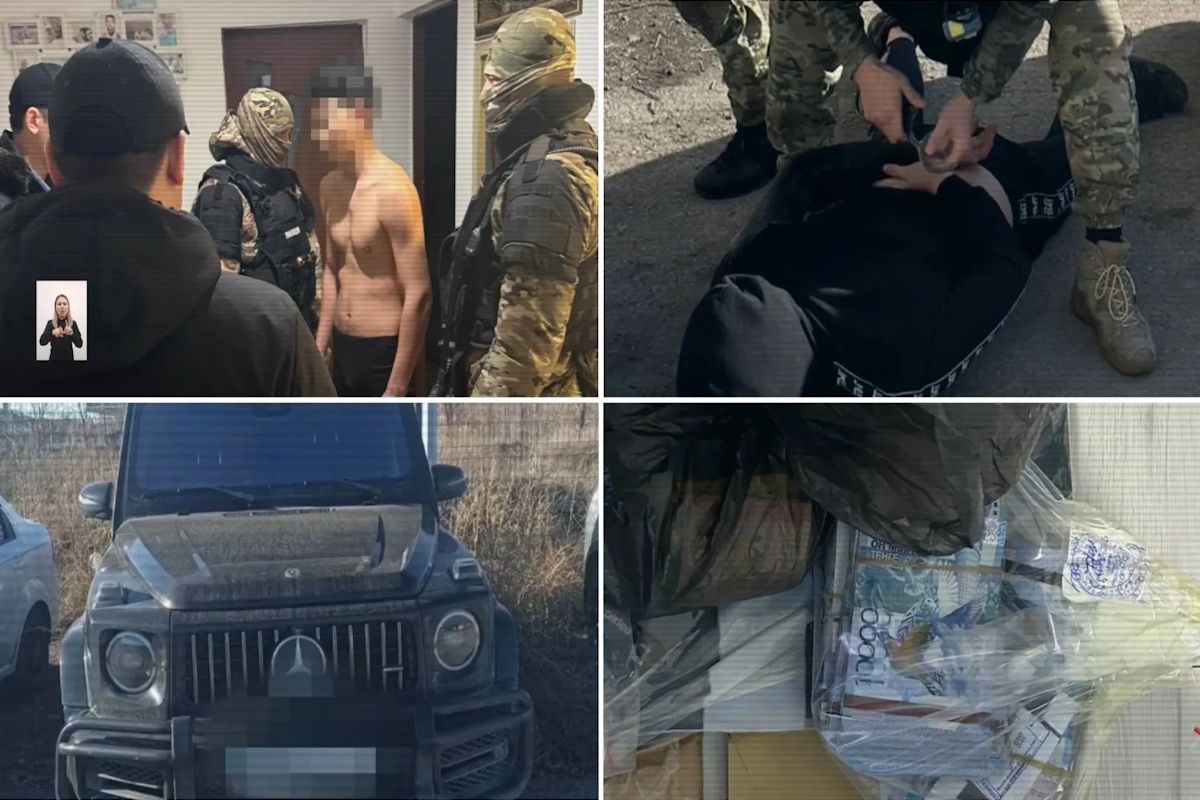 скриншот видео