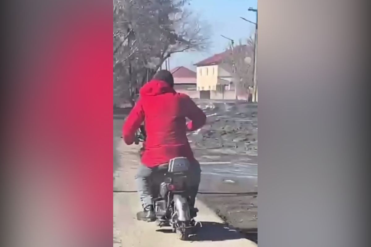 скриншот видео