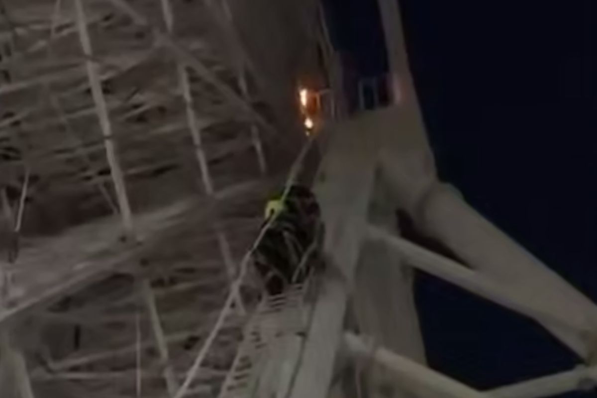 скриншот видео