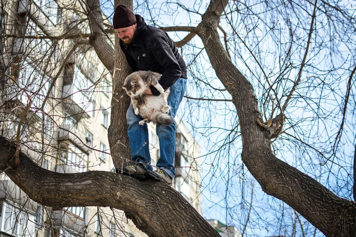 иллюстративное фото Алена МАРТЫНОВА, КП-Новосибирск. иллюстративное фото Алена МАРТЫНОВА, КП-Новосибирск.