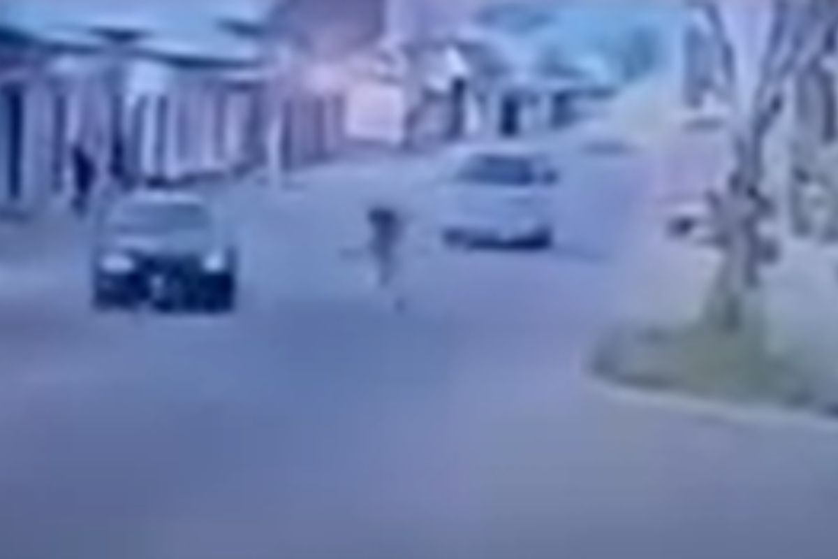 стоп-кадр с видео стоп-кадр с видео