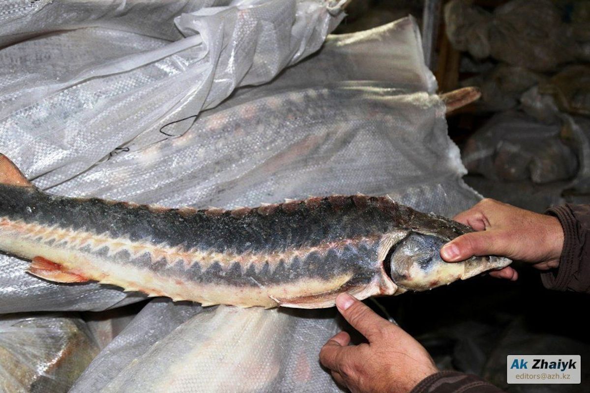 фото из архива АЖ