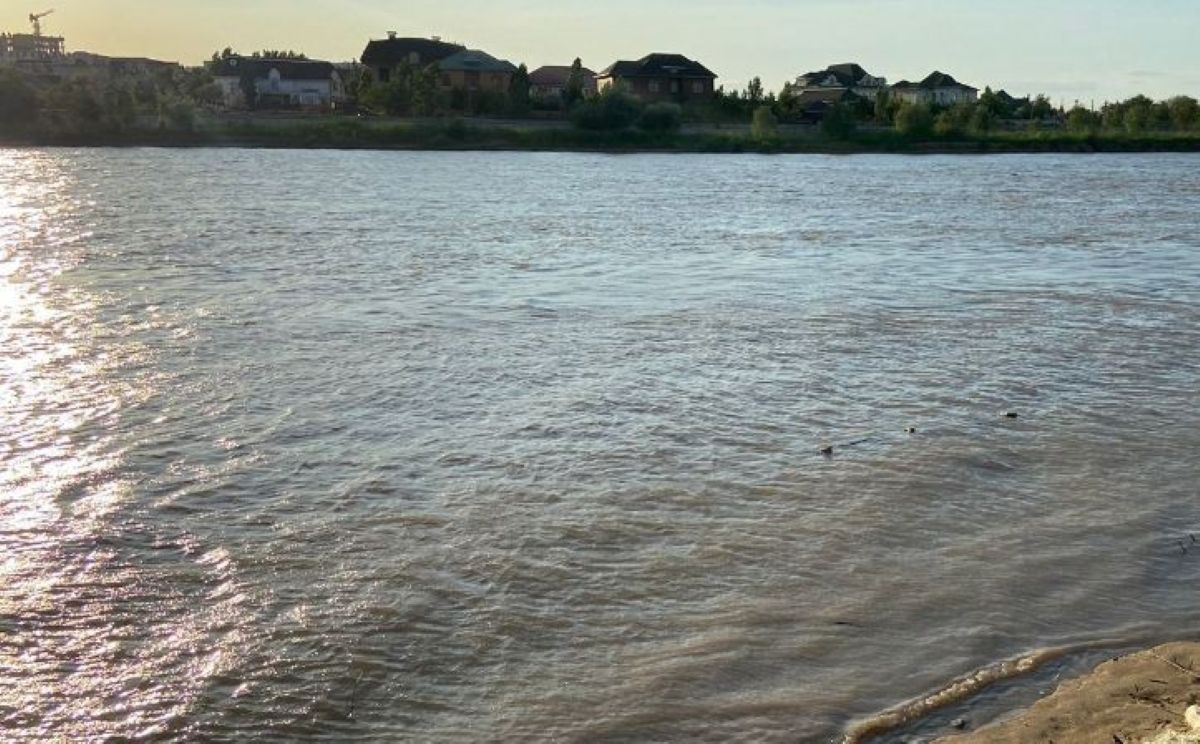 иллюстративное фото