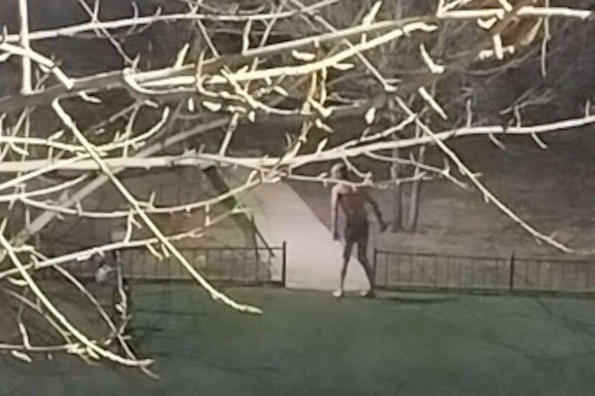 скриншот видео