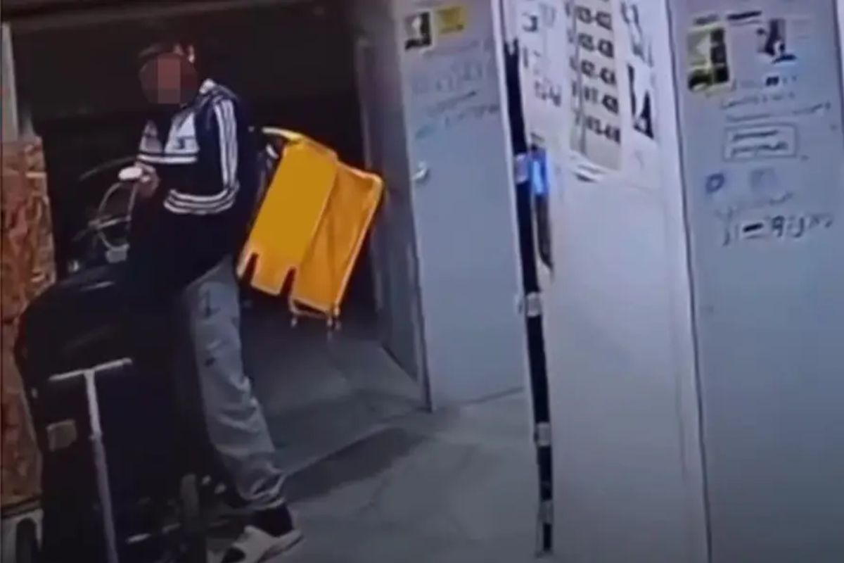 скриншот видео скриншот видео