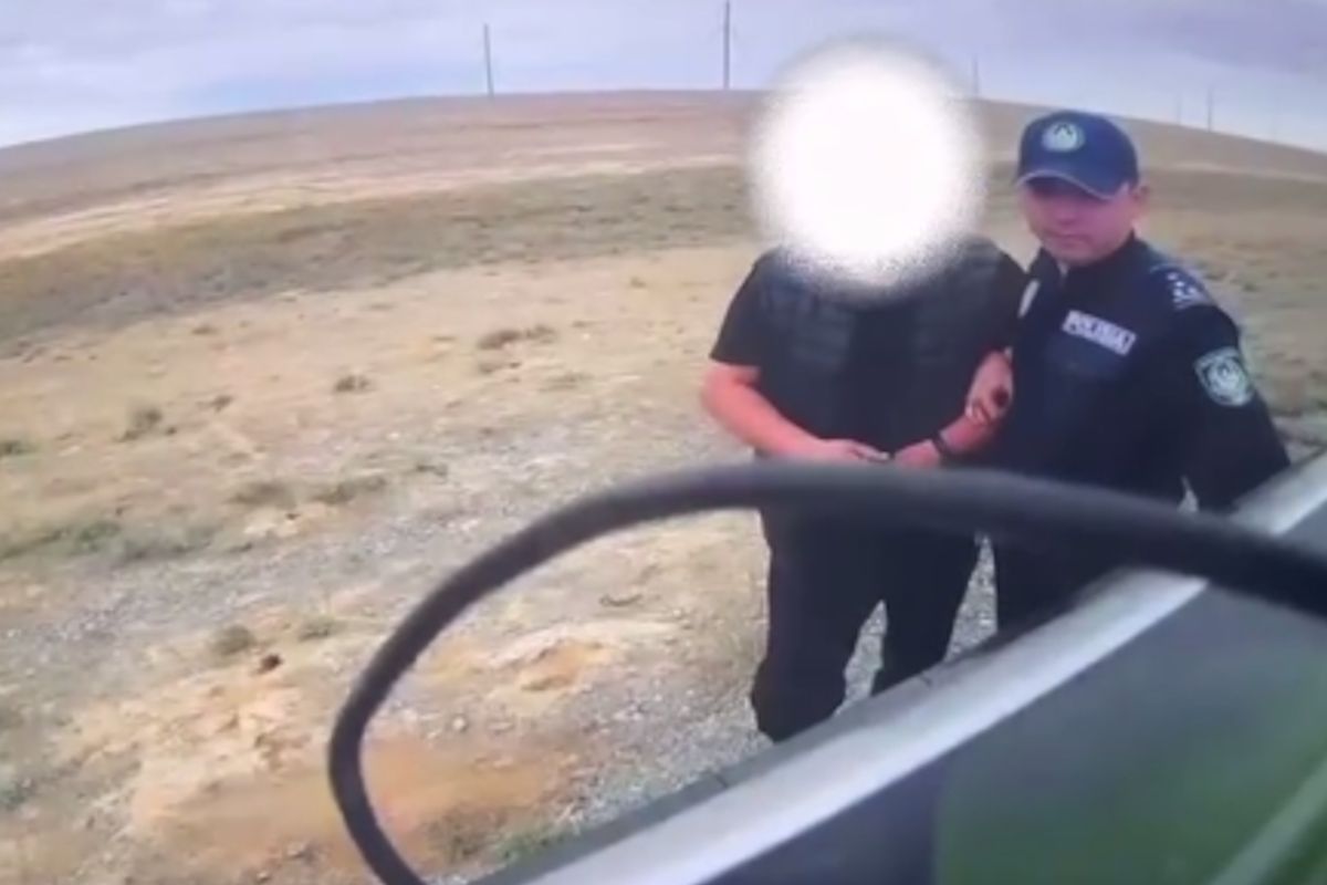 скриншот видео