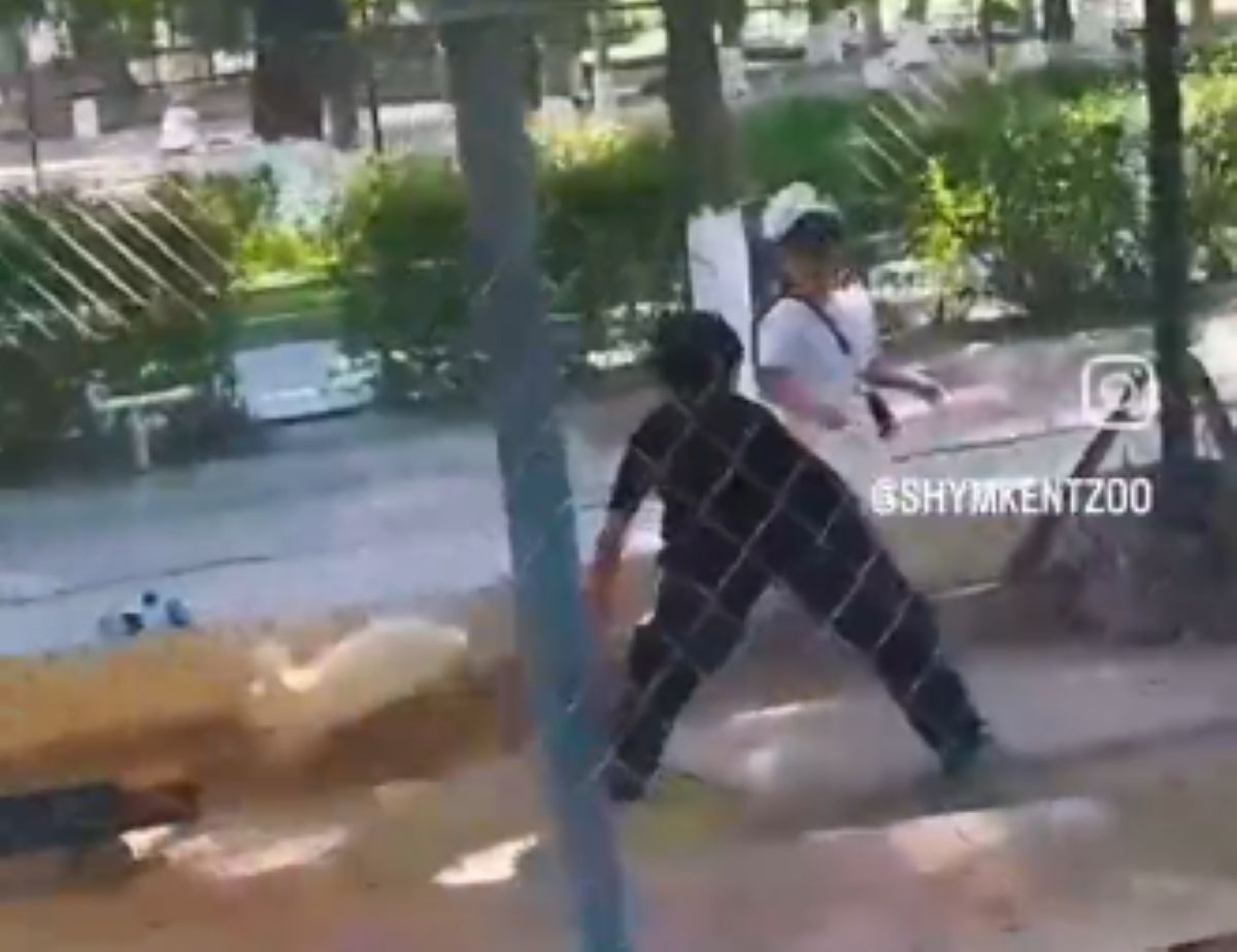 стоп-кадр с видео