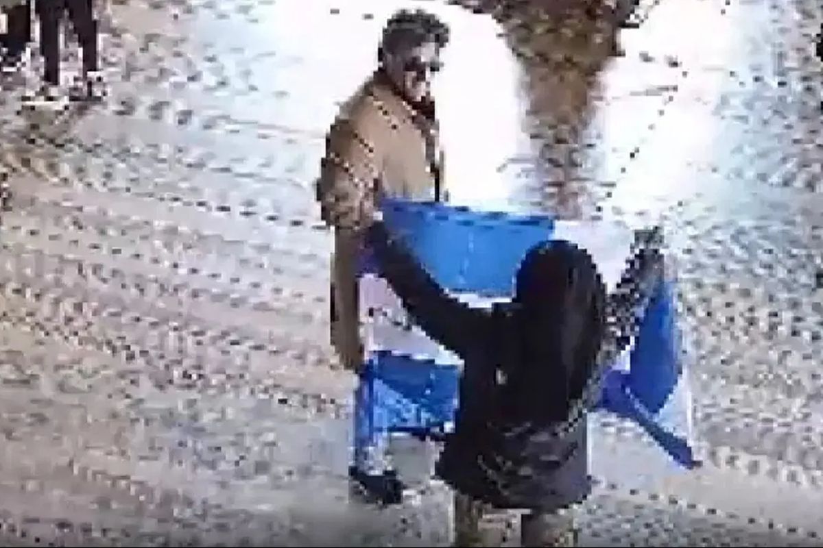 авторское право Cleared