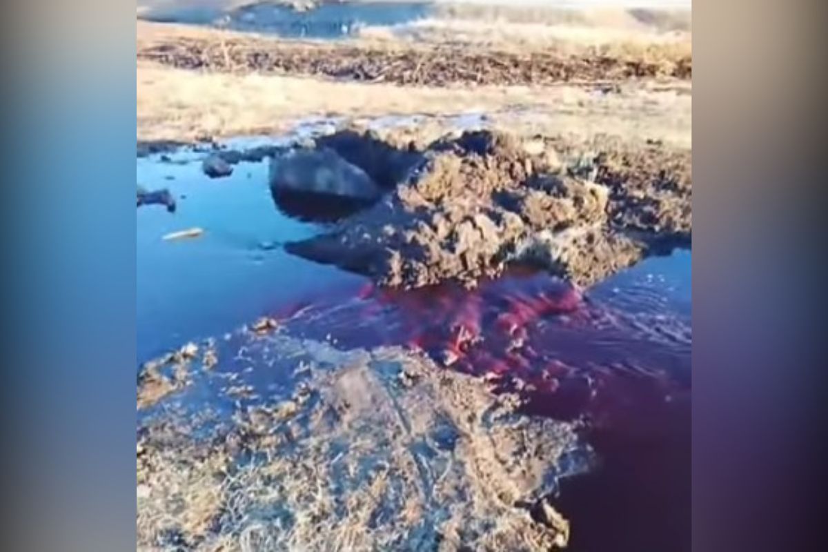 скриншот видео