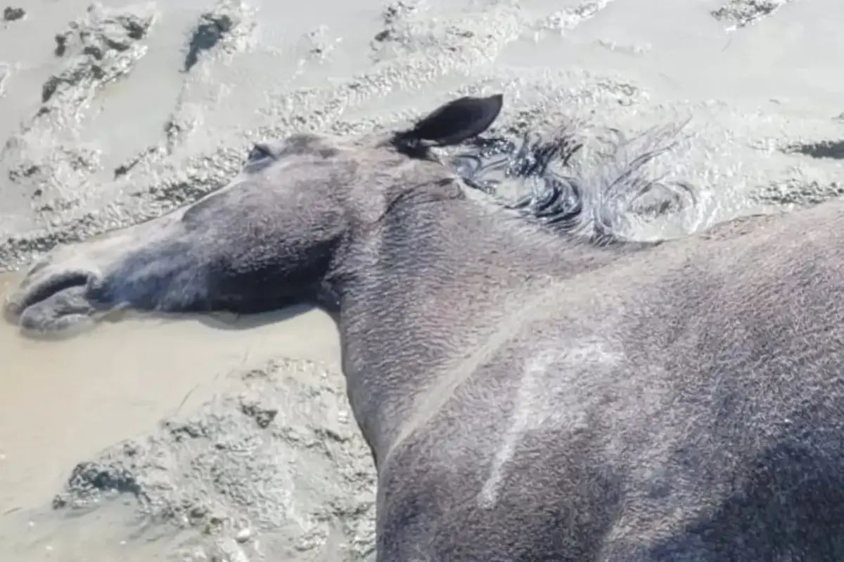 Фото местных жителей