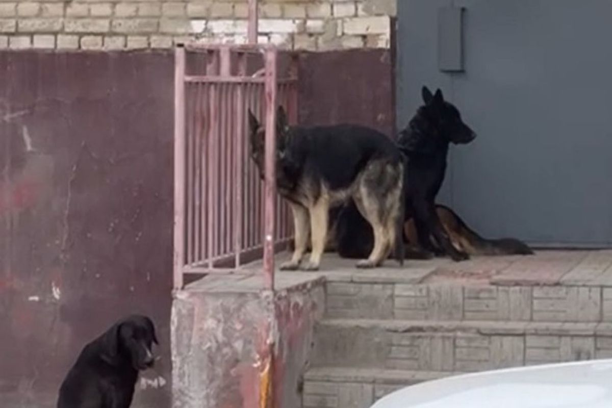 фото из архива АЖ