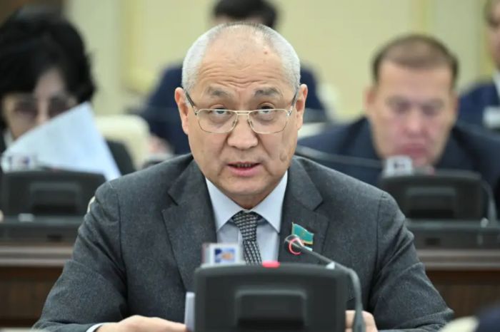 Почему суд не наказал депутата Жанбыршина за резкие слова в сети