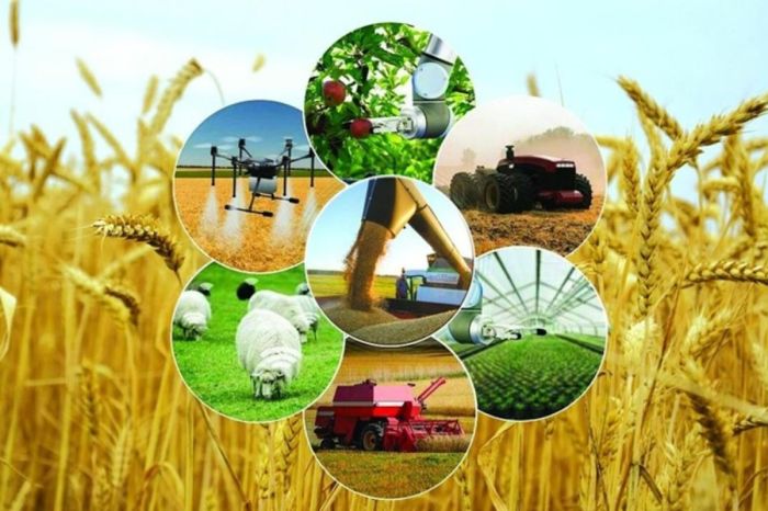 Более 100 проектов профинансируют в Атырауской области по программе «Ауыл аманаты»