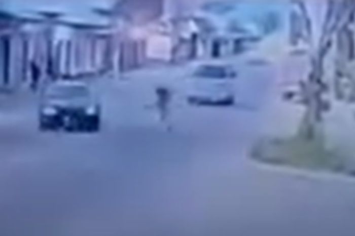 Семилетний всадник протаранил Toyota в Таразе: животное скончалось на месте