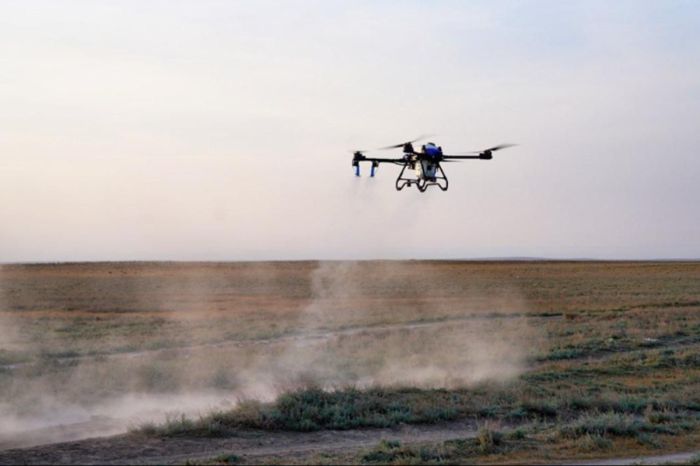 Химобработка с неба: агродроны направят в труднодоступные очаги саранчи
