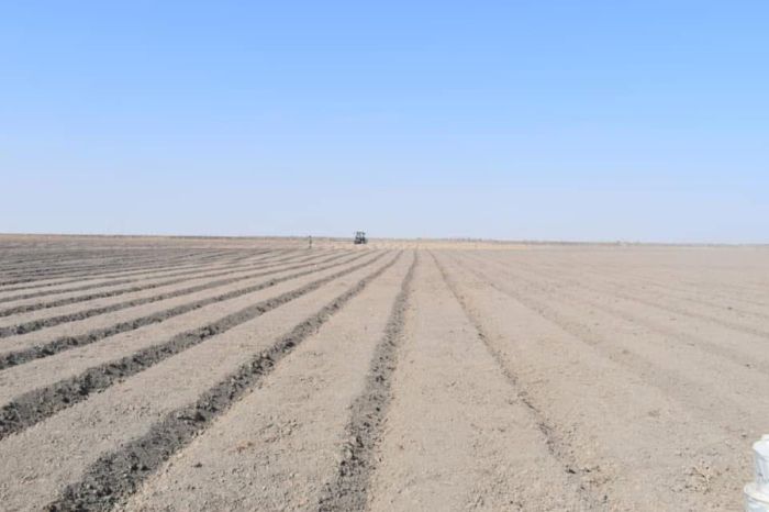 Весенняя посевная началась в Махамбетском районе