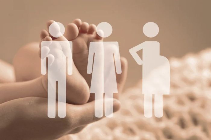  Не пришла на вторую попытку: Суд вынес решение по делу суррогатной матери в Акмолинской области