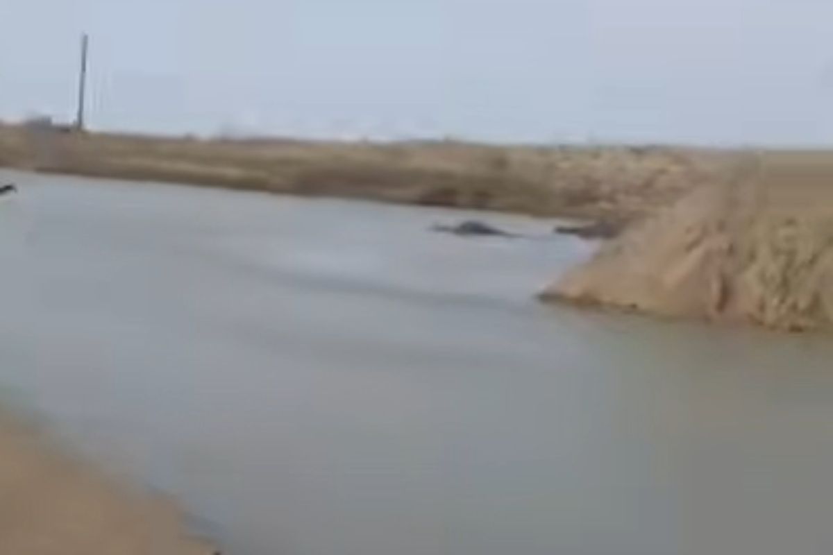 стоп-кадр с видео