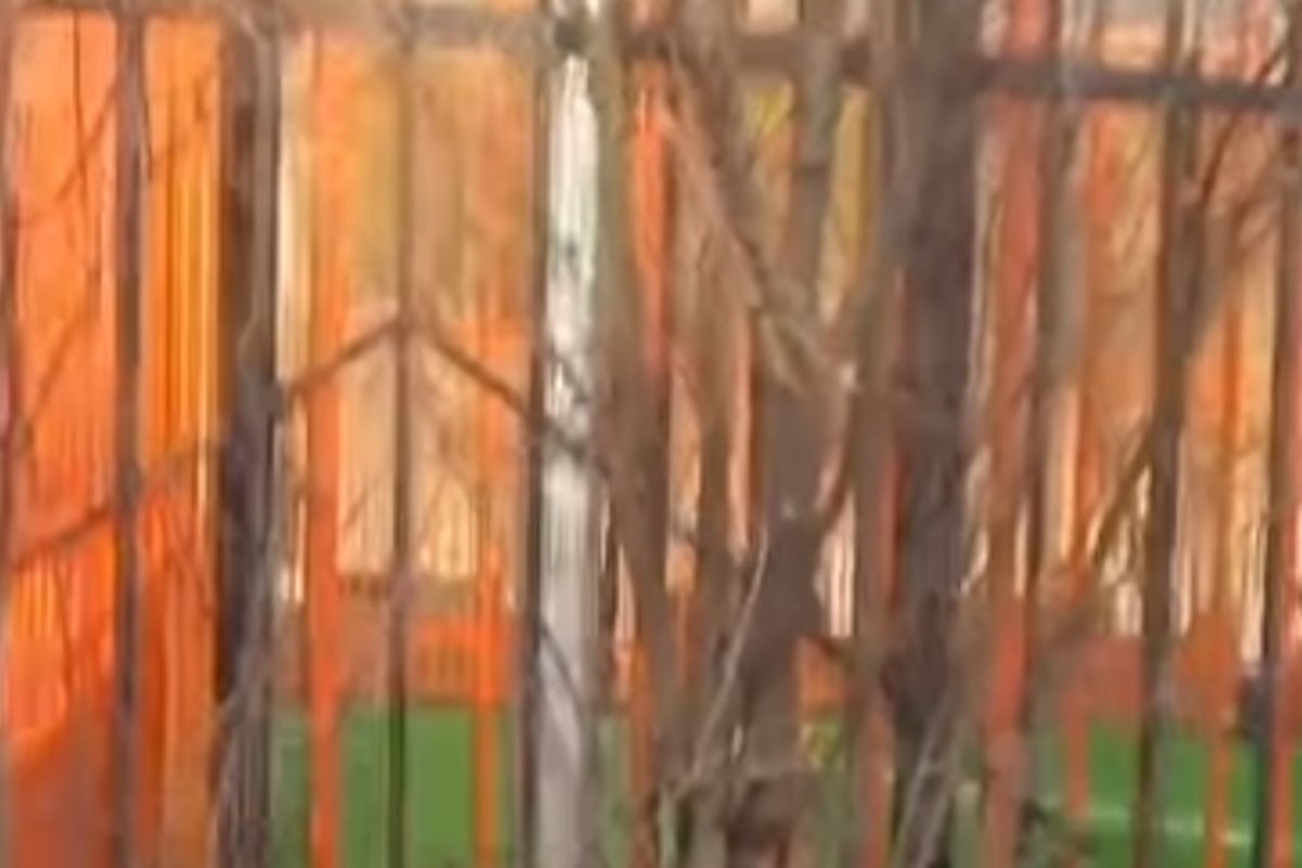 скриншот видео