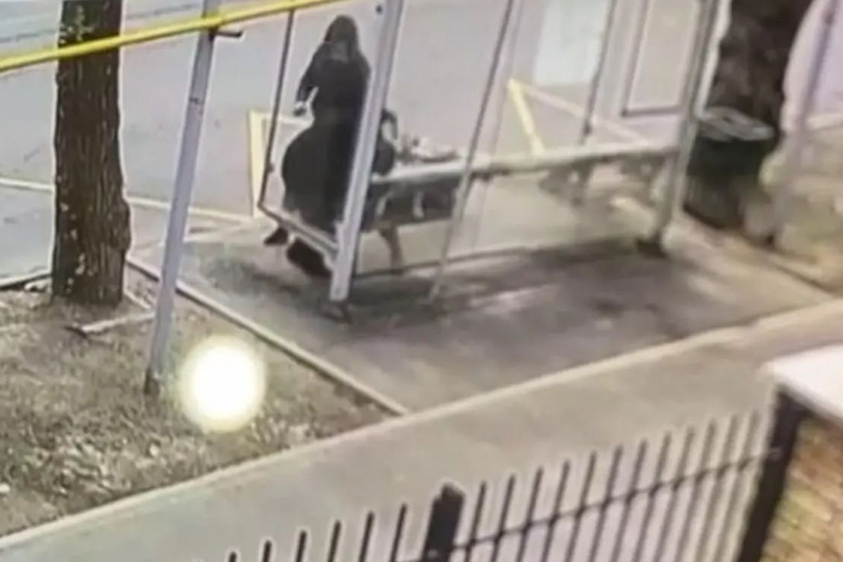 скриншот видео