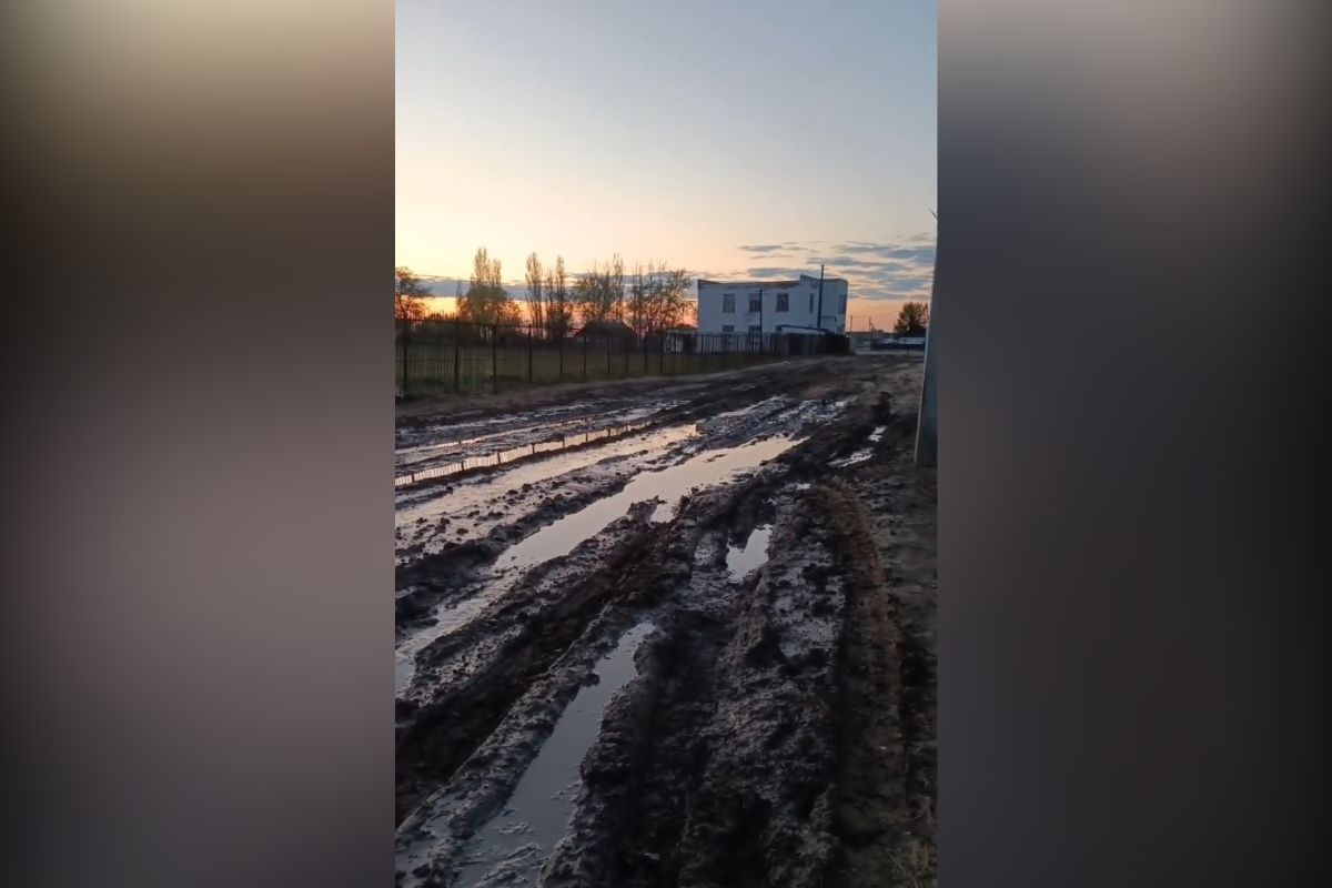 скриншот видео