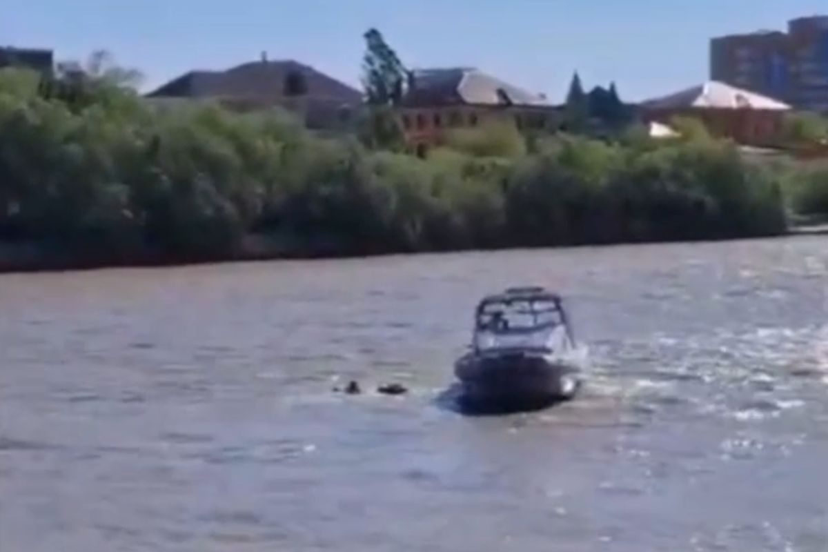 скриншот видео