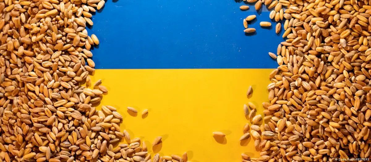 Зашедшее в порт Хайфы судно РФ везло краденое украинское зерно, указывают в Киеве/Фото: Dado Ruvic/REUTERS