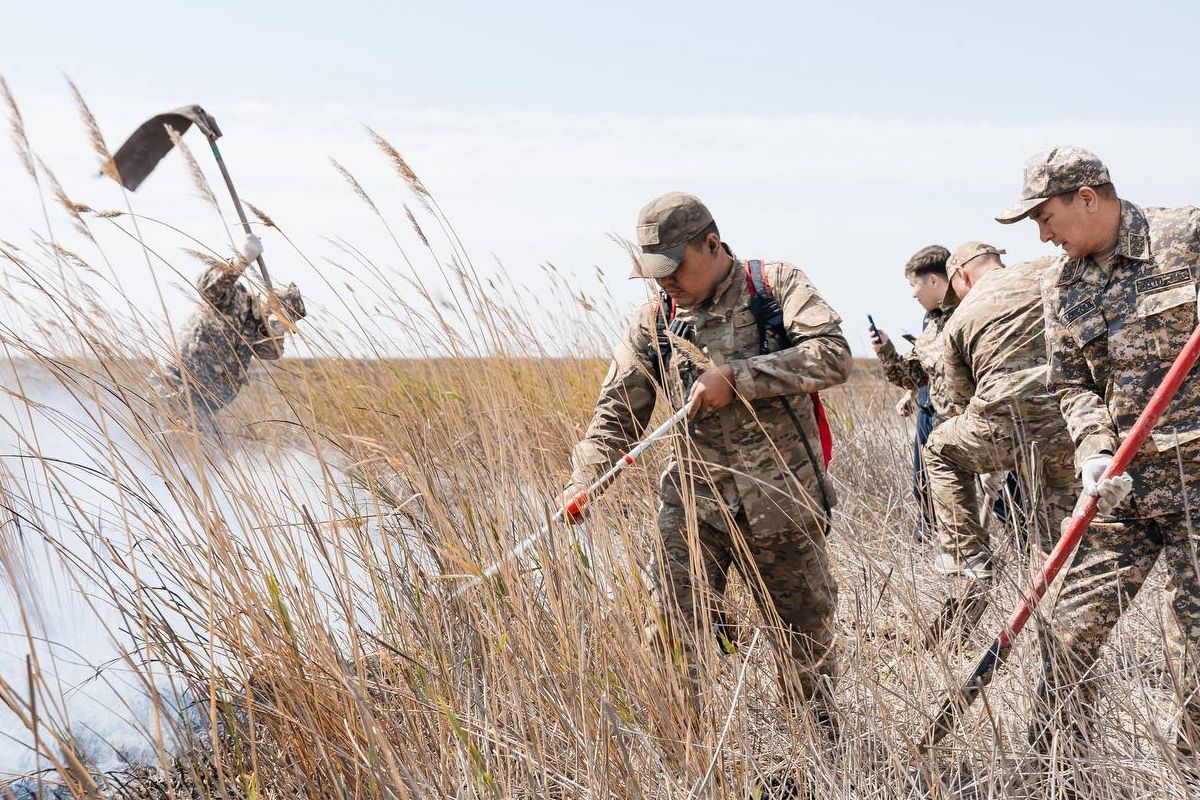 фото Региональной службы коммуникаций