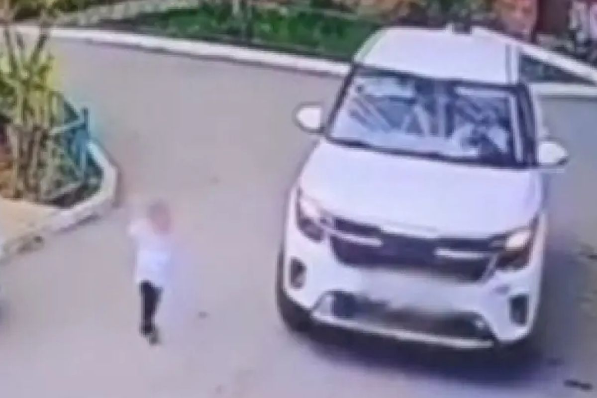 скриншот видео