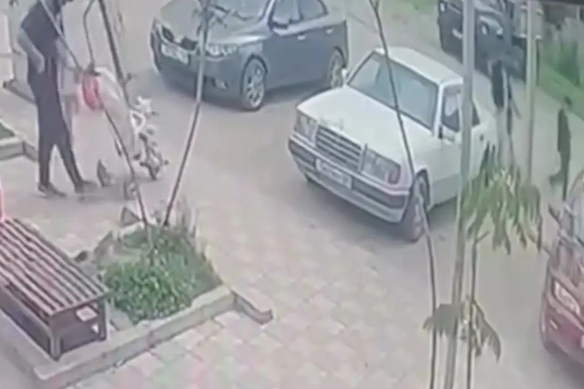 скриншот видео