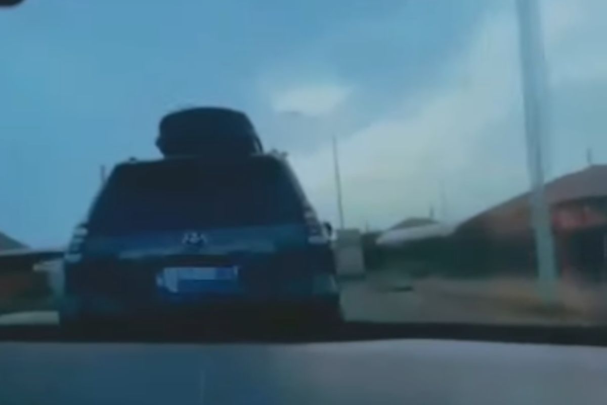 скриншот видео скриншот видео