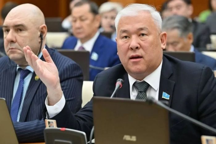 Депутат сообщил о задержании двух иностранцев с оружием в Астане