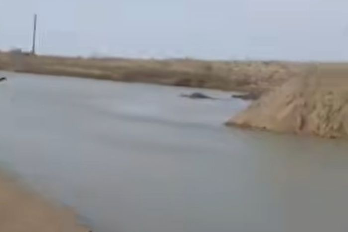 Воды всё меньше, а решений нет: фермеры Жылыойского района бьют тревогу