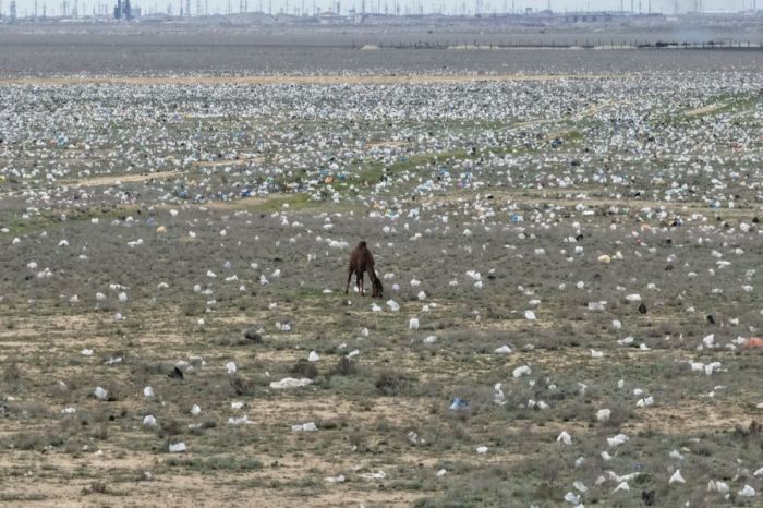 "В чем смысл акции Таза Қазақстан?" Блогер снял на видео усеянную мусором степь