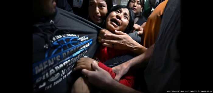 Выбран лучший снимок года по версии World Press Photo