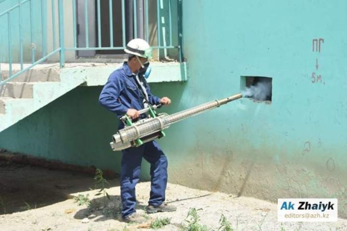 В Атырау на обработку от комаров выделили 200 миллионов тенге