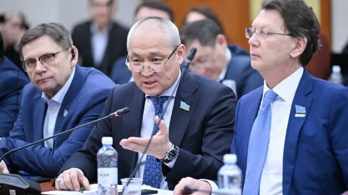 "Слова президента не искажайте". Депутат Жанбыршин высказался о скандальном законе