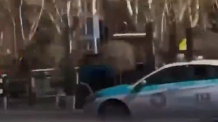 «Синий трактор» в Астане: водитель пытался скрыться от полиции