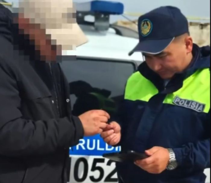 Кто может ездить на иностранных номерах в Казахстане? Вступили в силу новые правила