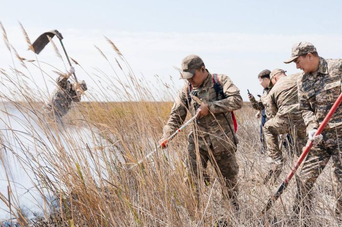 Пожар вспыхнул на территории резервата «Акжайык»