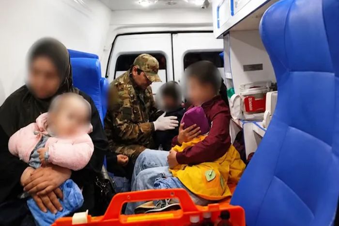 Пятеро детей пострадали в ДТП с лошадью в Павлодарской области
